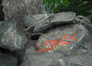 Lithic-Logo
